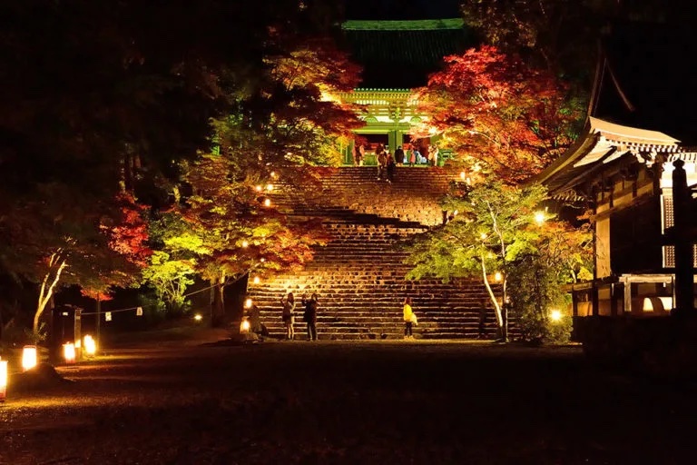 京都　知恩院　紅葉　ライトアップ