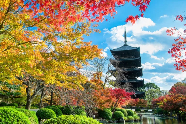 京都　東寺　紅葉