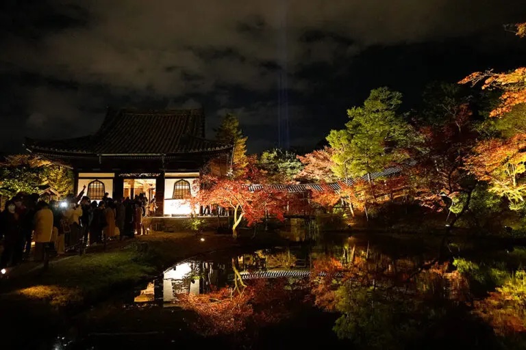 京都　高台寺　紅葉　ライトアップ