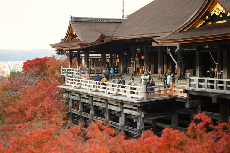 【絶景】紅葉の京都32選