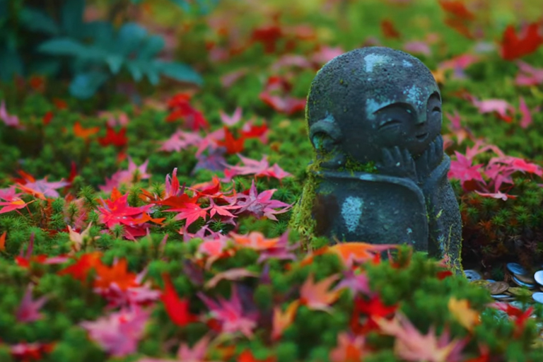 京都 紅葉の絶景(4K)圓光寺 鷹峯 寂光院様他