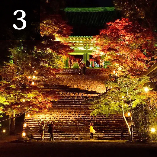 京都の紅葉・ライトアップ情報。2024年に訪れるべきなのはここ！