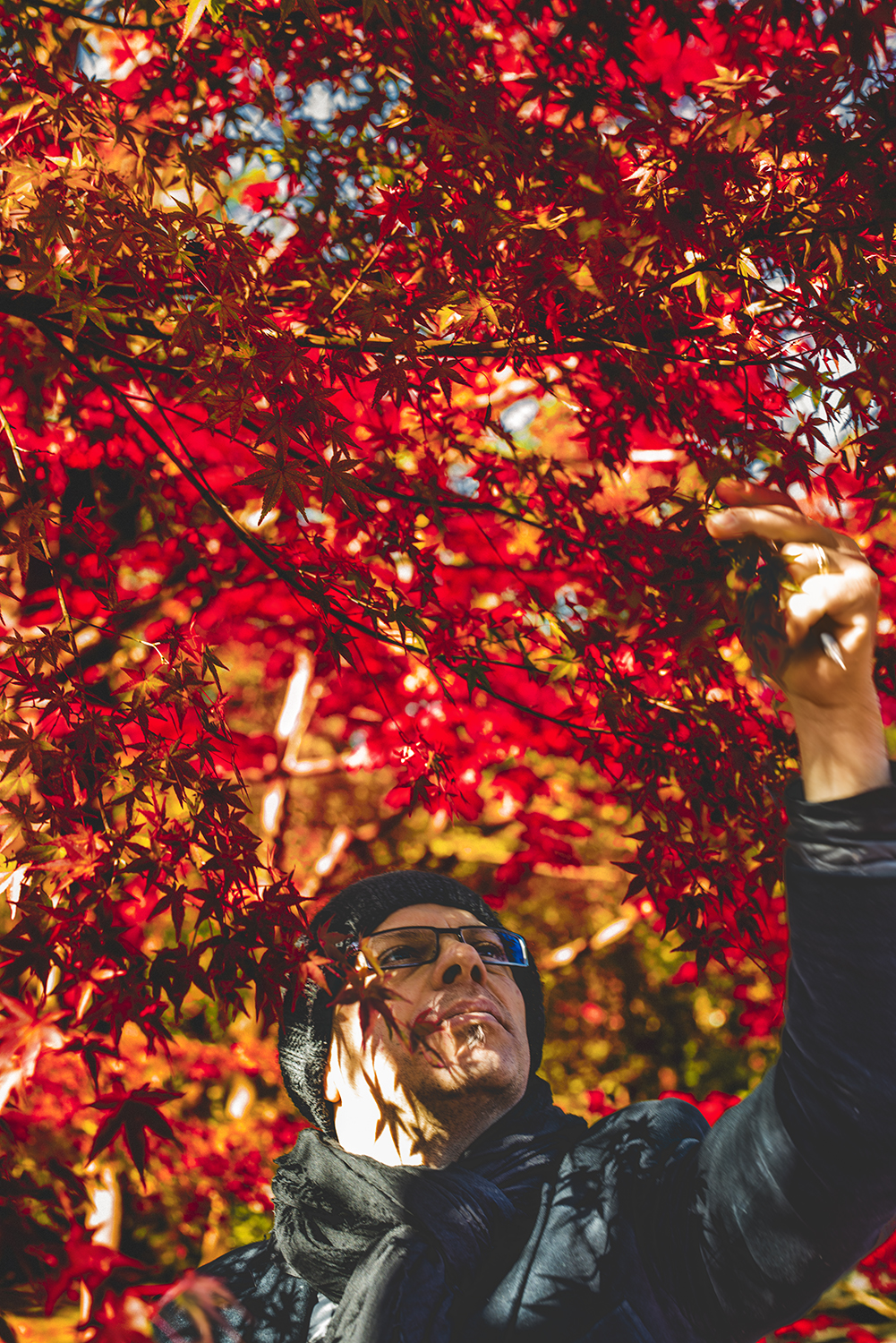 等持院紅葉と、モミジを愛でるイタリア人巨匠