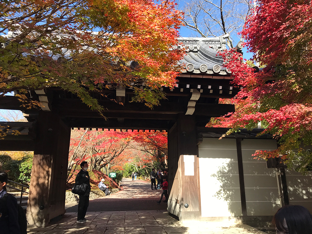 竜安寺 紅葉に囲まれる山門