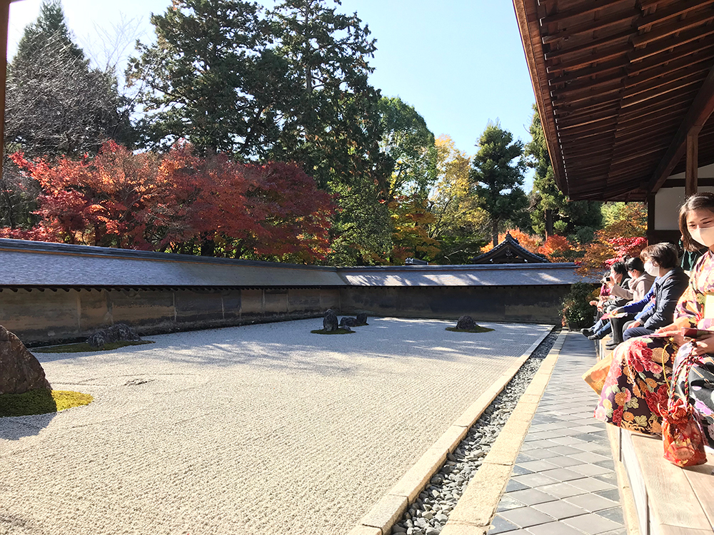 方丈庭園の石庭入り口から見える15石とお着物、紅葉の写真