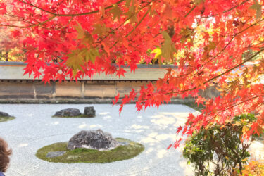 京都の紅葉を見るなら龍安寺へ。龍安寺の紅葉の見頃や見所をご紹介します。石庭が有名過ぎて、京都紅葉の穴場スポット!?