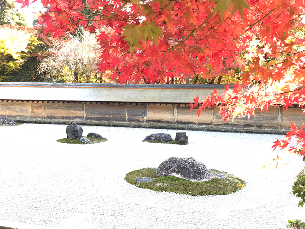 石庭と紅葉のコントラストが綺麗な写真