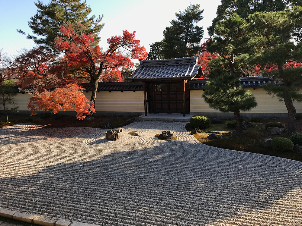 等持院 方丈本堂の南庭 枯山水庭園と紅葉