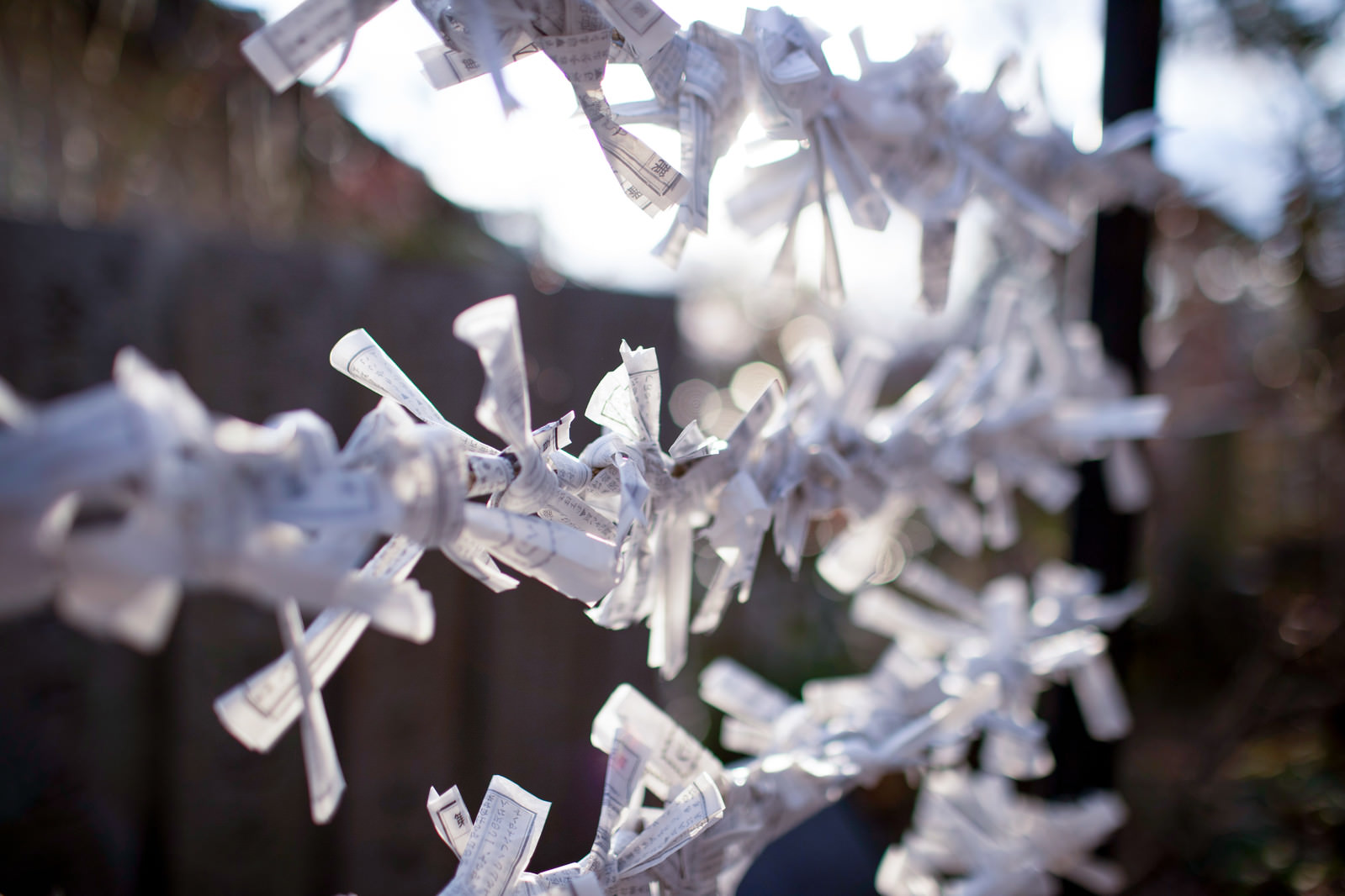 京都 東山 初詣